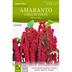 Амарант Лисича опашка Amaranthus