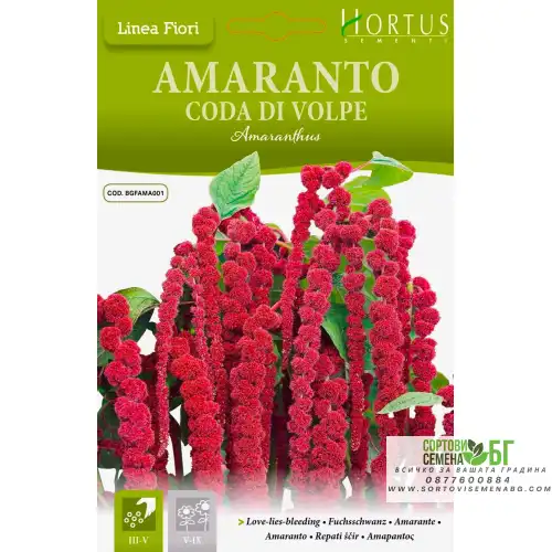 Амарант Лисича опашка / Amaranthus