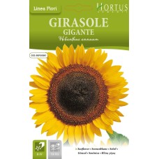 Слънчоглед Жълт Гигант Helianthus annuum