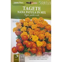 Тагетес Френски Джудже Микс / Tagetes patula-erecta