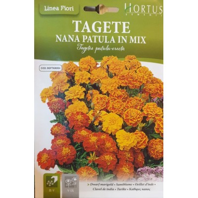 Тагетес Френски Джудже Микс / Tagetes patula-erecta