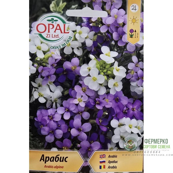 Арабис Arabis alpina