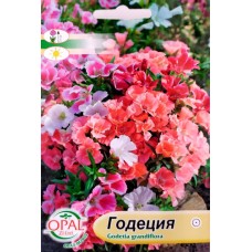 Годеция Микс Godetia grandiflora