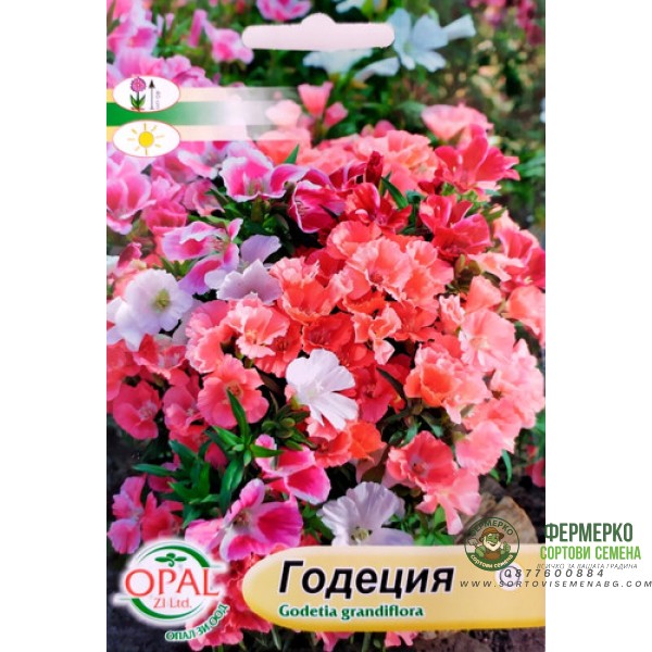 Годеция Микс Godetia grandiflora