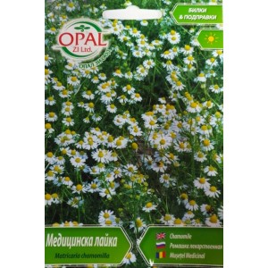 Медицинска лайка / Matricaria chamomilla