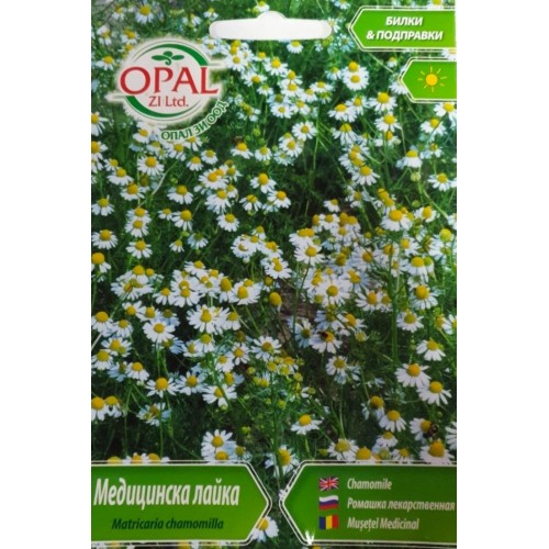 Медицинска лайка / Matricaria chamomilla