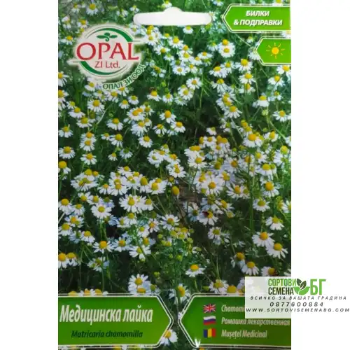 Медицинска лайка / Matricaria chamomilla
