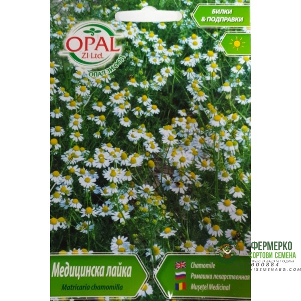 Медицинска лайка Matricaria chamomilla
