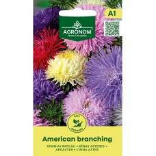 Астри Микс Американ Брънчинг Callistephus chinensis L Ness American branching