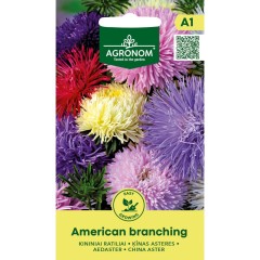 Астри Микс Американ Брънчинг Callistephus chinensis L Ness American branching