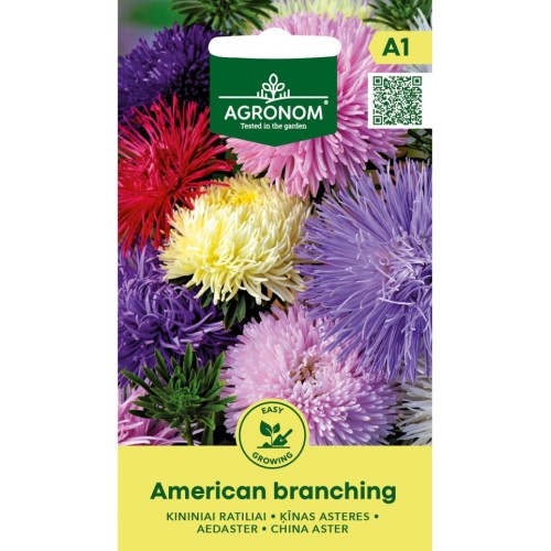 Астри Микс Американ Брънчинг / Callistephus chinensis (L.) Ness American branching