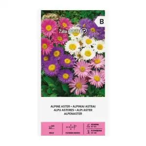 Астри Алпийски Микс / Aster alpinus L