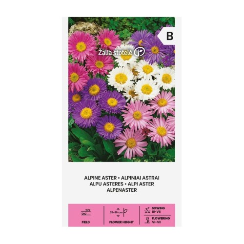 Астри Алпийски Микс / Aster alpinus L