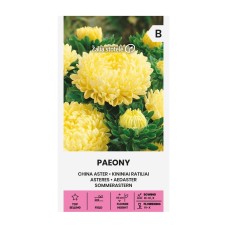 Астри Жълти Паеони Callistephus chinensis L Ness Paeony