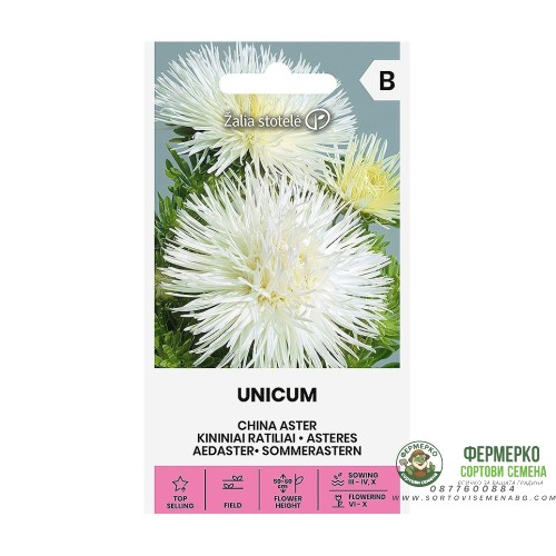 Астри Бели Игловидни Уникум Callistephus chinensis L Ness Unicum