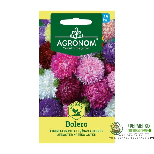 Астри Микс Болеро Callistephus chinensis L Ness Bolero