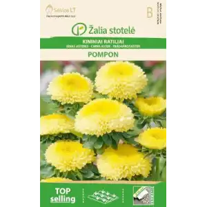 Астри  Жълт Помпон / Callistephus chinensis (L.) Ness