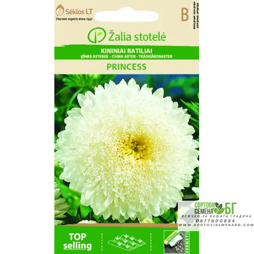 Астри Бяла Принцеса / Callistephus chinensis (L.) Ness Астри Бяла Принцеса / Callistephus chinensis (L.) Ness