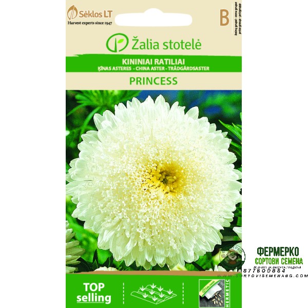 Астри Бяла Принцеса  Callistephus chinensis L Ness Princess