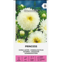 Астри Бяла Принцеса  Callistephus chinensis L Ness Princess