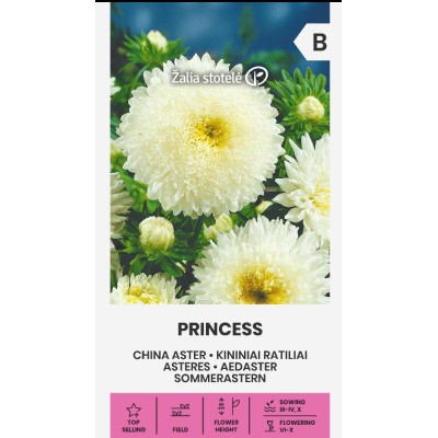 Астри Бяла Принцеса Callistephus chinensis L Ness Princess
