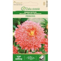 Астри Розова Принцеса / Callistephus chinensis (L.) Ness