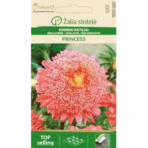 Астри Розова Принцеса / Callistephus chinensis (L.) Ness