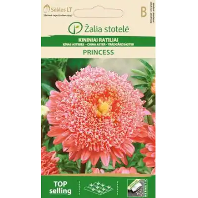 Астри Розова Принцеса / Callistephus chinensis (L.) Ness