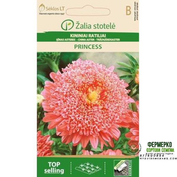 Астри Розова Принцеса Callistephus chinensis L Ness Princess