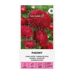 Астри Червени Паеони Callistephus chinensis L Ness Paeony