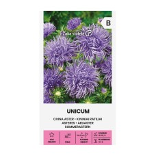 Астри Лилави Игловидни Уникум Callistephus chinensis L Ness Unicum