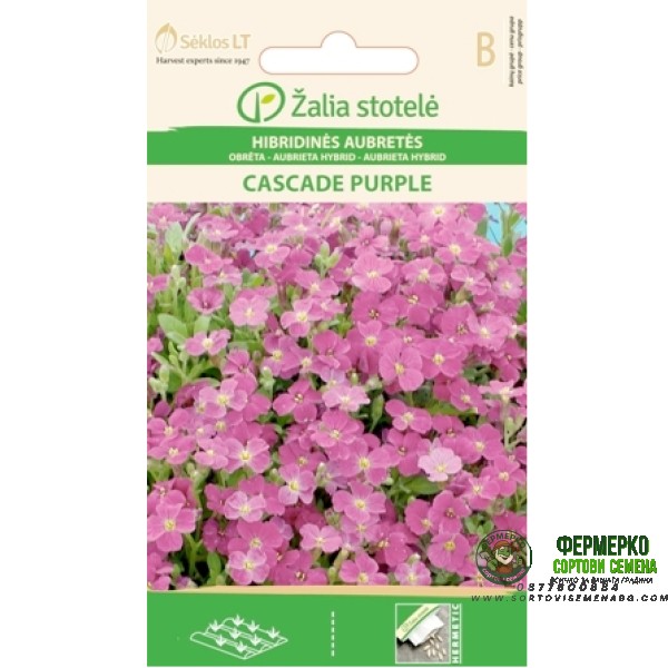 Аубриета Лилава Каскадна Aubrieta hybrida