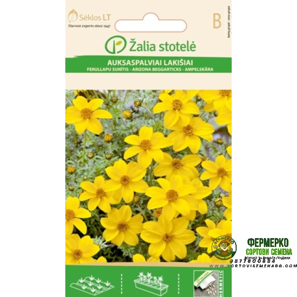 Биденс Жълт Bidens aurea