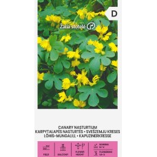 Настурция Канарче Tropaeolum peregrinum