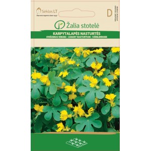 Настурция Канарче / Tropaeolum peregrinum