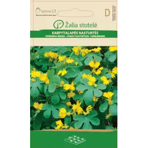Настурция Канарче / Tropaeolum peregrinum