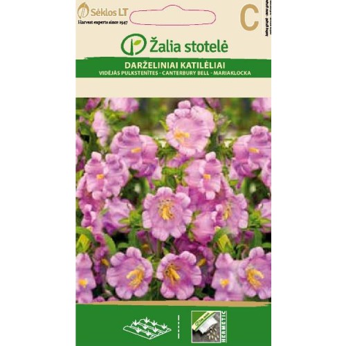 Кампанула Камбани Кентербъри / Campanula medium