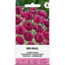 Метличина Червена Топчеста Centaurea cyanus