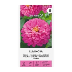 Циния Розова Luminosa Zinnia elegans dahlienflora