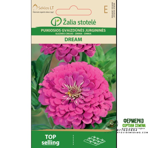 Циния Лилава Dream Zinnia elegans dahlienflora