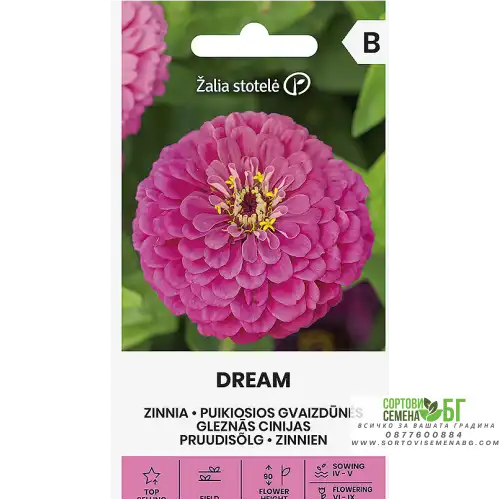 Циния Лилава Мечта / Zinnia elegans dahlienflora