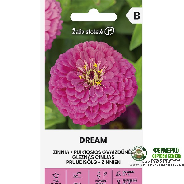Циния Лилава Мечта Zinnia elegans dahlienflora