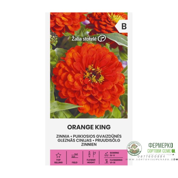 Циния оранжева Orange King Zinnia elegans dahlienflora