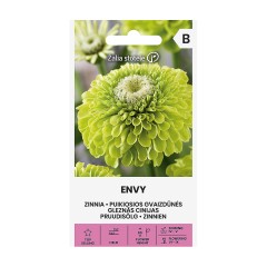 Циния резеда Envy Zinnia elegans dahlienflora