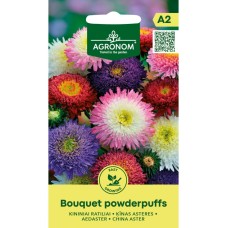 Астри двуцветни Микс Букет пудрички Callistephus chinensis L Ness Bouquet powderpuffs