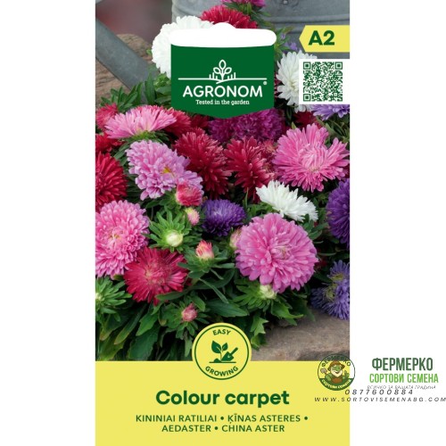 Астри Мини Микс Цветен Килим Callistephus chinensis L Ness Colour Carpet