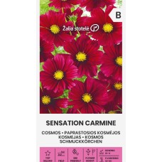 Цветя Космос Червени Sensation Carmine