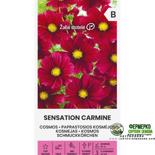 Цветя Космос Червени Sensation Carmine