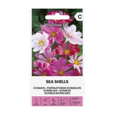 Космос Микс Морски миди Sea shells mix