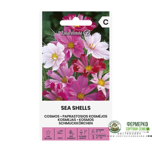 Космос Микс Морски миди / Sea shells mix